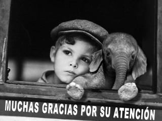MUCHAS GRACIAS POR SU ATENCIÓN 