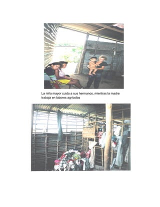 La niña mayor cuida a sus hermanos, mientras la madre
trabaja en labores agrícolas
 