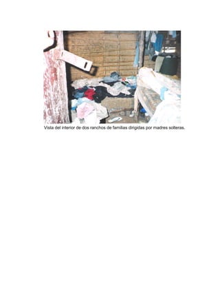 Vista del interior de dos ranchos de familias dirigidas por madres solteras.
 