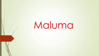 Maluma
 