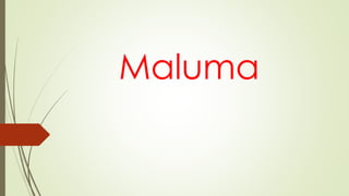 Maluma
 