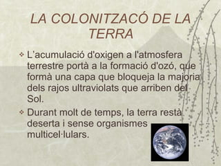 LA COLONITZACÓ DE LA TERRA L’a cumulació d'oxigen a l'atmosfera terrestre portà a la formació d'ozó, que formà una capa que bloqueja la majoria dels rajos ultraviolats que arriben del Sol . Durant molt de temps, la terra restà deserta i sense organismes multicel·lulars . 