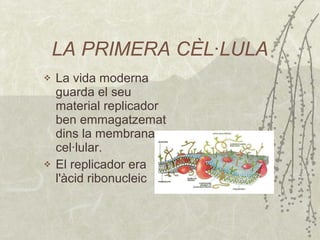 LA PRIMERA CÈL·LULA La vida moderna guarda el seu material replicador ben emmagatzemat dins la membrana cel·lular. El replicador  era l'àcid ribonucleic 