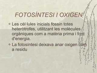 FOTOSÍNTESI I OXIGEN L es cèl·lules inicials fossin totes heteròtrofes, utilitzant les molècules orgàniques   com a matèria prima i font d'energia . L a fotosíntesi deixava anar oxigen com a residu 