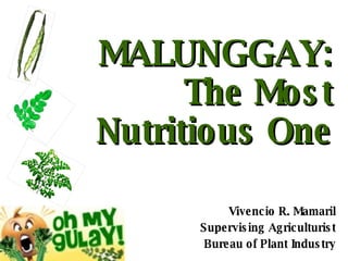MALUNGGAY: The Most Nutritious One Vivencio R. Mamaril Supervising Agriculturist Bureau of Plant Industry 