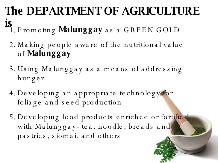 acceptability of fortified malunggay leaves as This study aims to introduce a new protein-rich snackfood fortified with oyster mushrooms acceptability of polvoron with malunggay leaves. acceptability of fortified malunggay leaves as This study aims to introduce a new protein-rich snackfood fortified with oyster mushrooms acceptability of polvoron with malunggay leaves.