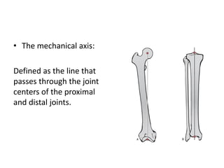 • The mechanical axis:
Defined as the line that
passes through the joint
centers of the proximal
and distal joints.
 