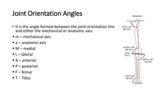 Joint Orientation Angles
• It is the angle formed between the joint orientation line
and either the mechanical or anatomic axis.
 m – mechanical axis
 a – anatomic axis
 M – medial
 L – lateral
 A – anterior
 P – posterior
 F – femur
 T – Tibia
 