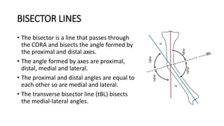 BISECTOR LINES
• The bisector is a line that passes through
the CORA and bisects the angle formed by
the proximal and distal axes.
• The angle formed by axes are proximal,
distal, medial and lateral.
• The proximal and distal angles are equal to
each other so are medial and lateral.
• The transverse bisector line (tBL) bisects
the medial-lateral angles.
 