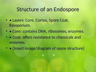 Structure of an Endospore
• • Layers: Core, Cortex, Spore Coat,
Exosporium.
• • Core: contains DNA, ribosomes, enzymes.
• • Coat: offers resistance to chemicals and
enzymes.
• • [Insert image/diagram of spore structure]
 