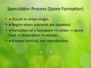Sporulation Process (Spore Formation)
• • Occurs in seven stages.
• • Begins when nutrients are depleted.
• • Formation of a forespore → cortex → spore
coat → maturation → release.
• • Ensures survival, not reproduction.
 