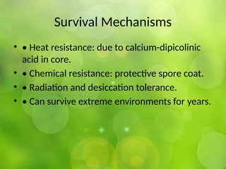 Survival Mechanisms
• • Heat resistance: due to calcium-dipicolinic
acid in core.
• • Chemical resistance: protective spore coat.
• • Radiation and desiccation tolerance.
• • Can survive extreme environments for years.
 