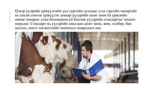 Цэвэр үүлрийн үржүүлгийн үед сүргийн дундаас дээд зэргийн чанартайг
нь шилж сонгон үржүүлэх замаар үүлдрийн ашиг шим ба үржлийн
шинж чанарыг улам боловсронгуй болгож үүлдрийн стандартыг зохион
мөрддөг. Стандарт нь үүлдрийн амьтдын ашиг шим, жин, галбир, бие
цогцос, өсөлт хөгжилтийн минимум шаардлага юм.
 