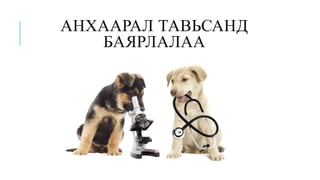 АНХААРАЛ ТАВЬСАНД
БАЯРЛАЛАА
 