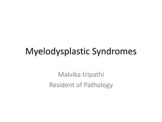 Myelodysplastic Syndromes
Malvika tripathi
Resident of Pathology
 