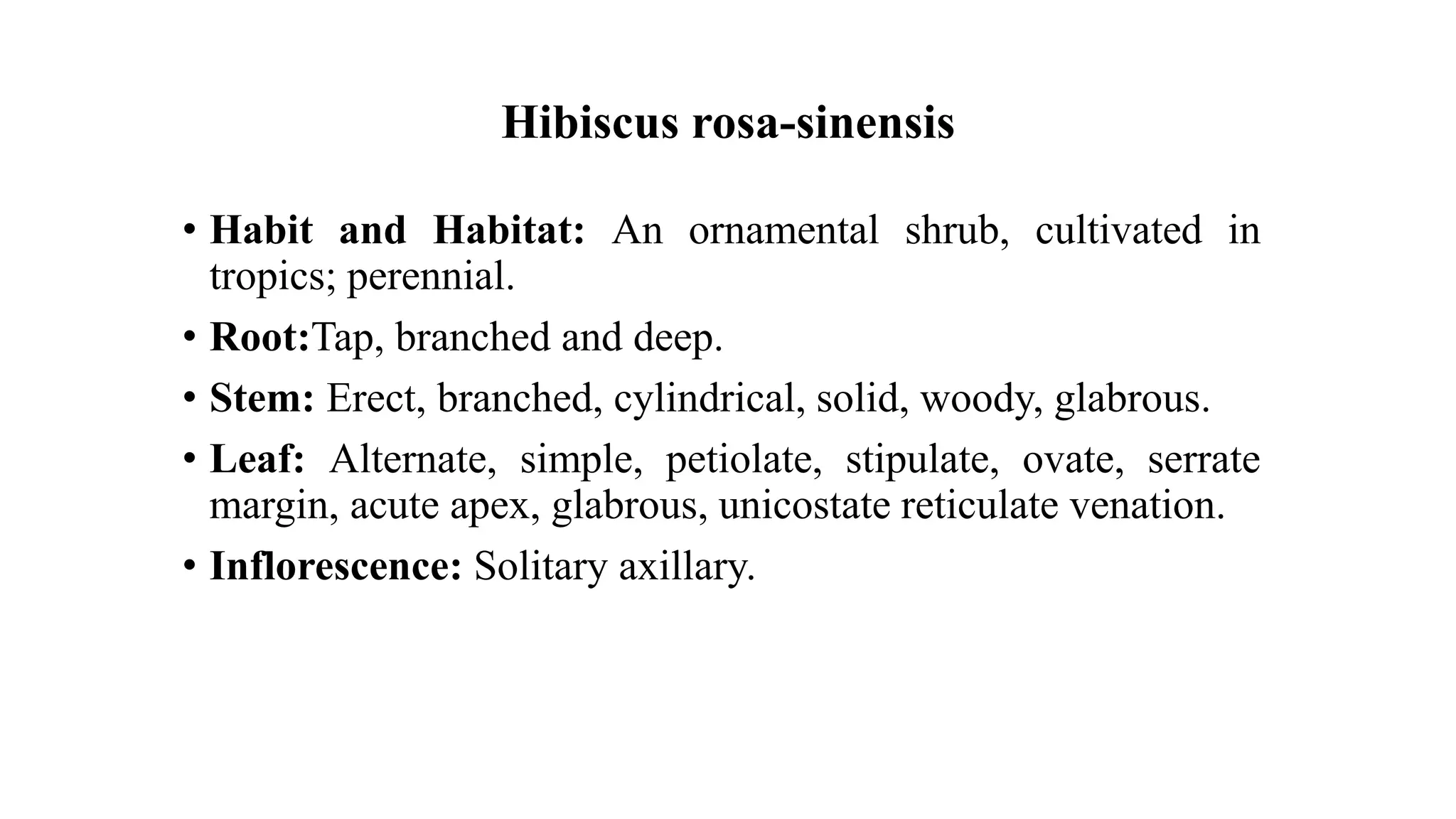 Hibiscus rosa-sinensis
• Habit and Habitat: An ornamental shrub, cultivated in
tropics; perennial.
• Root:Tap, branched and deep.
• Stem: Erect, branched, cylindrical, solid, woody, glabrous.
• Leaf: Alternate, simple, petiolate, stipulate, ovate, serrate
margin, acute apex, glabrous, unicostate reticulate venation.
• Inflorescence: Solitary axillary.
 