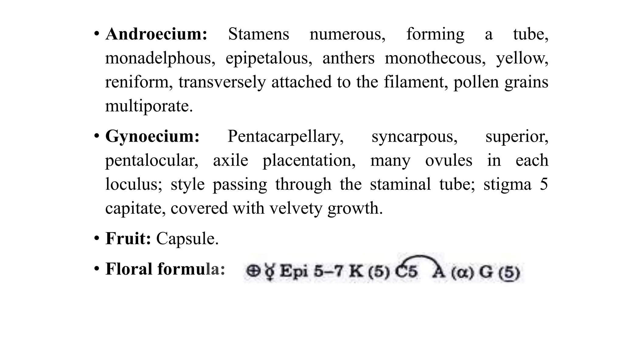 • Androecium: Stamens numerous, forming a tube,
monadelphous, epipetalous, anthers monothecous, yellow,
reniform, transversely attached to the filament, pollen grains
multiporate.
• Gynoecium: Pentacarpellary, syncarpous, superior,
pentalocular, axile placentation, many ovules in each
loculus; style passing through the staminal tube; stigma 5
capitate, covered with velvety growth.
• Fruit: Capsule.
• Floral formula:
 