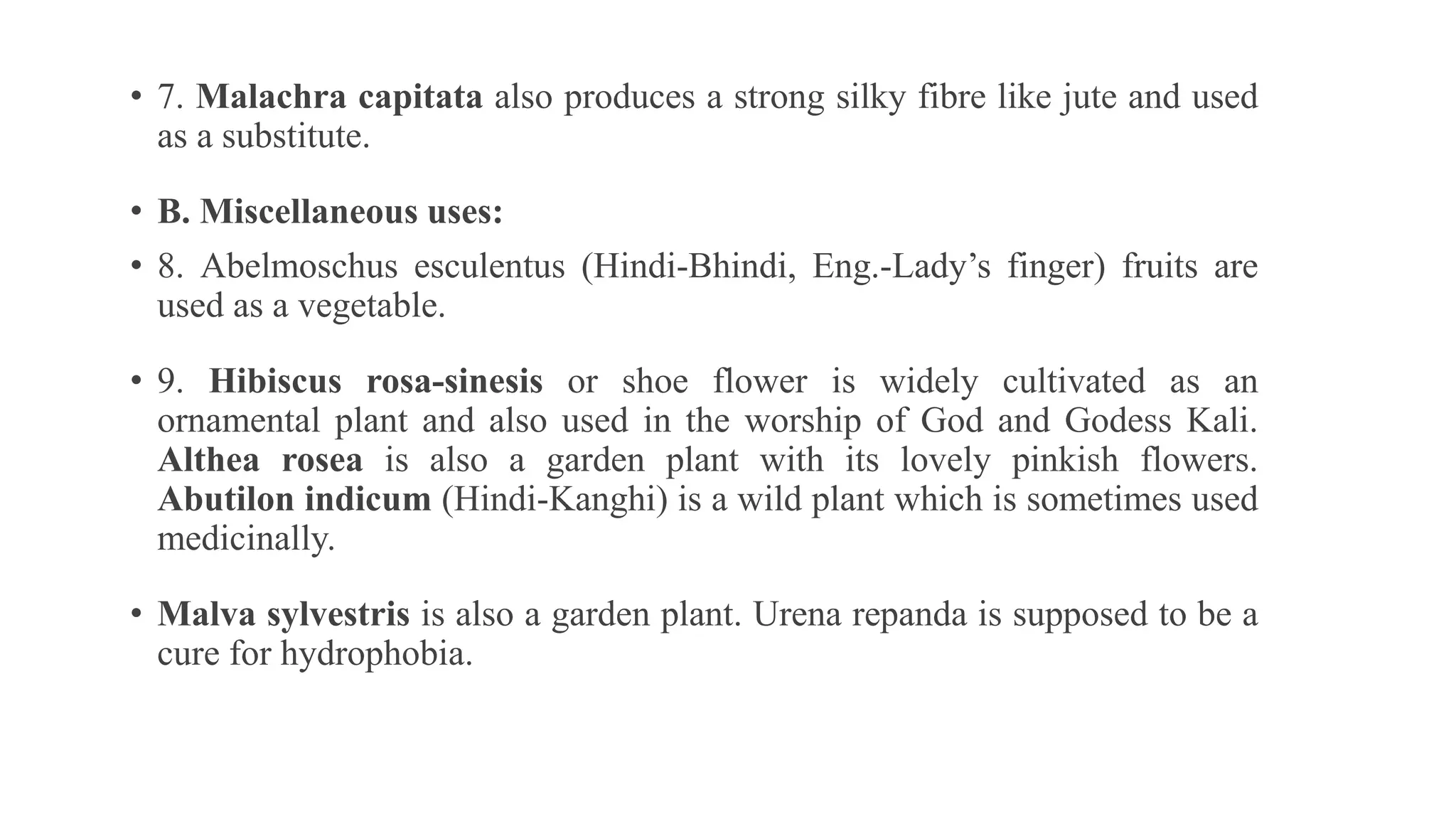 • 7. Malachra capitata also produces a strong silky fibre like jute and used
as a substitute.
• B. Miscellaneous uses:
• 8. Abelmoschus esculentus (Hindi-Bhindi, Eng.-Lady’s finger) fruits are
used as a vegetable.
• 9. Hibiscus rosa-sinesis or shoe flower is widely cultivated as an
ornamental plant and also used in the worship of God and Godess Kali.
Althea rosea is also a garden plant with its lovely pinkish flowers.
Abutilon indicum (Hindi-Kanghi) is a wild plant which is sometimes used
medicinally.
• Malva sylvestris is also a garden plant. Urena repanda is supposed to be a
cure for hydrophobia.
 