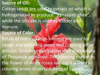 Source of Oil:
Cotton seeds are used to extract oil which is
hydrogenated to produce “Vanaspati ghee”,
while the oil cake is used as fodder and
manure.
Source of Color:
Petals of Hibiscus rosa-sinensis are used for
cough and polishing shoes and coloring other
articles. Sinhalese dye yellow with the capsule
of Thespasia populnea. The coloring matter in
the flower of Alcea rosea var. nigra is used in
coloring wines in certain parts of Europe.
 