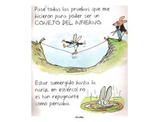 CUENTO MALVADO CONEJITO.