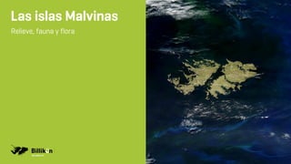 Las islas Malvinas
Relieve, fauna y flora
BILLIKEN.LAT
 