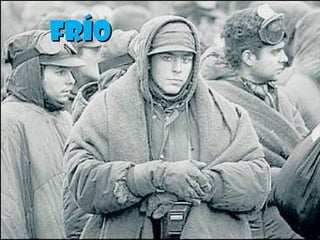 Frío
 
