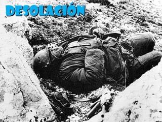 Desolación
 