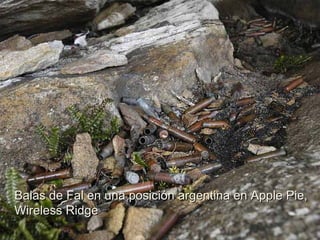 Balas de Fal en una posición argentina en Apple Pie, Wireless Ridge 
