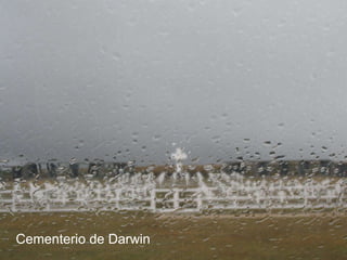 Cementerio de Darwin   