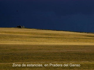 Zona de estancias, en Pradera del Ganso 