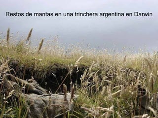 Restos de mantas en una trinchera argentina en Darwin 