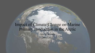 Impact of Climate Change on Marine
Primary Production in the Arctic
Malvi Golwala
29/11/2017
 