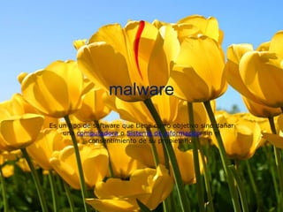 malware
Es un tipo de software que tiene como objetivo sino dañar
una computadora o Sistema de información sin el
consentimiento de su propietario.
 