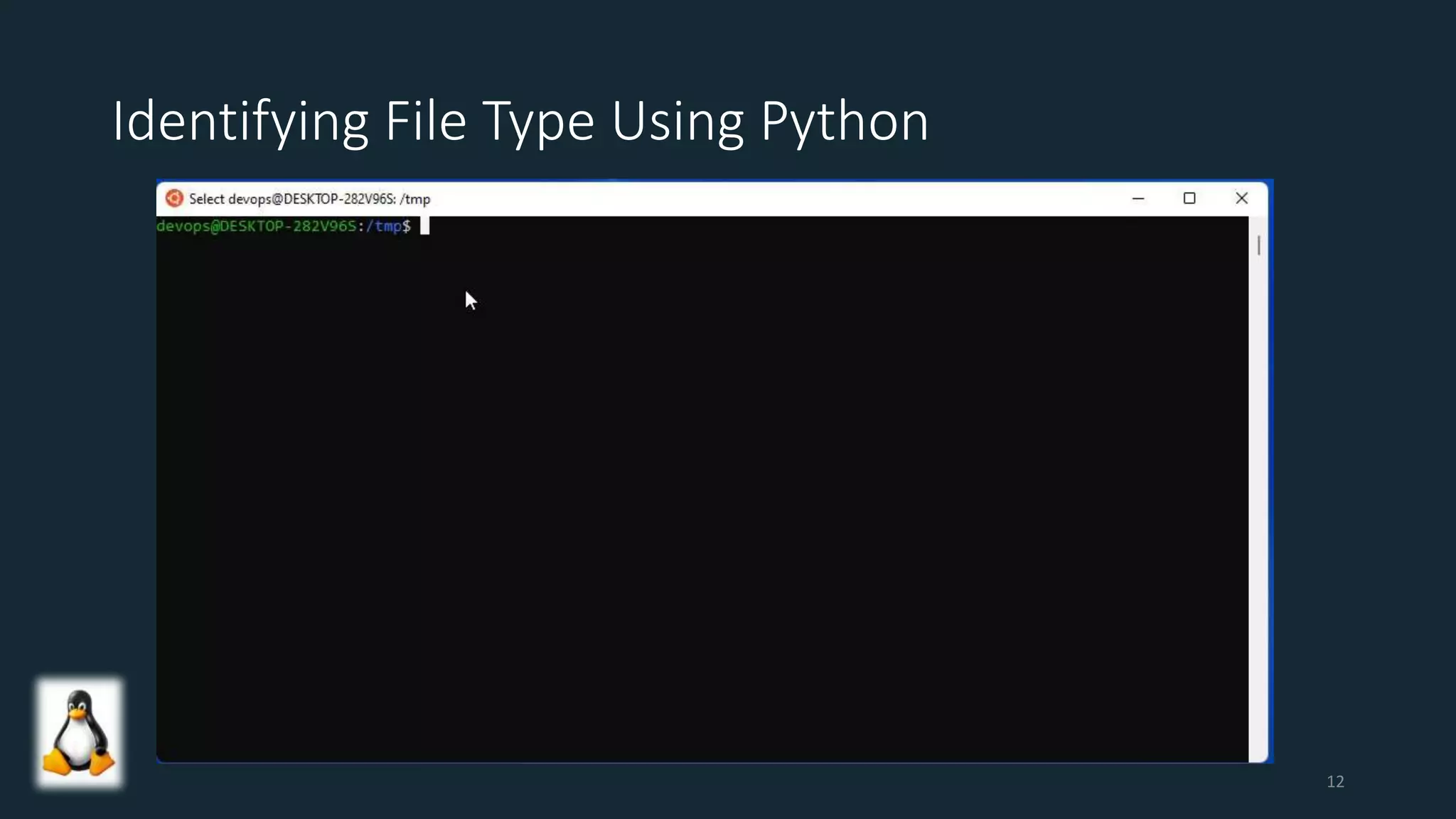 Identifying File Type Using Python
12
 