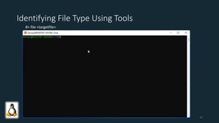 Identifying File Type Using Tools
#> file <targetfile>
10
 