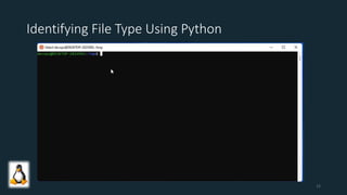 Identifying File Type Using Python
12
 