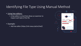 Identifying File Type Using Manual Method
• Using hex editors:
• A hex editor is a tool that allows an examiner to
inspect each byte of the file
• Example:
• HxD hex editor (https://mh-nexus.de/en/hxd/)
6
 