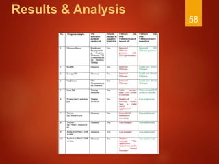 Results & Analysis
58
 