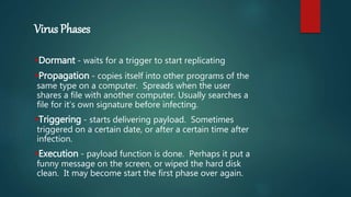 Virus Phases
Dormant - waits for a trigger to start replicating
Propagation - copies itself into other programs of the
same type on a computer. Spreads when the user
shares a file with another computer. Usually searches a
file for it’s own signature before infecting.
Triggering - starts delivering payload. Sometimes
triggered on a certain date, or after a certain time after
infection.
Execution - payload function is done. Perhaps it put a
funny message on the screen, or wiped the hard disk
clean. It may become start the first phase over again.
 