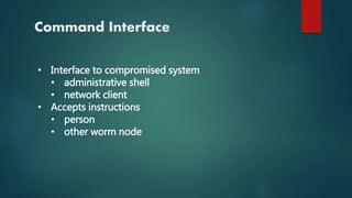 Command Interface
• Interface to compromised system
• administrative shell
• network client
• Accepts instructions
• person
• other worm node
 