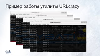 Пример работы утилиты URLcrazy
 