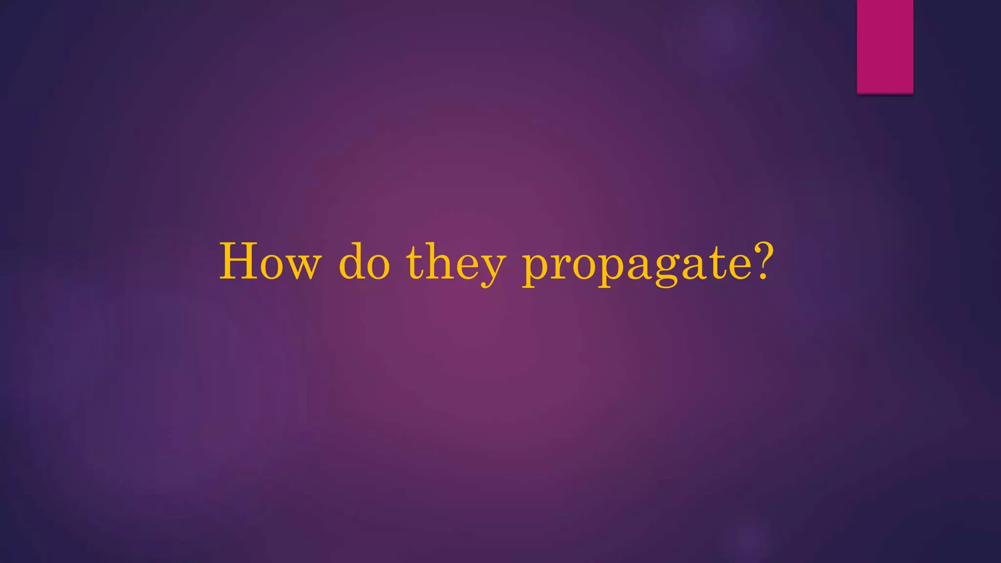 How do they propagate?
 