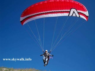 www.skywalk.info

 