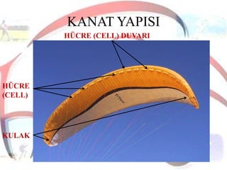 KANAT YAPISI
HÜCRE (CELL) DUVARI

HÜCRE
(CELL)

KULAK

 