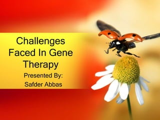Presented By:
Safder Abbas
Challenges
Faced In Gene
Therapy
 