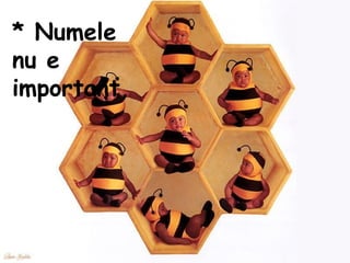 * Numele nu e important,