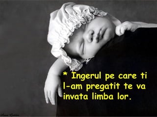 * Ingerul pe care ti l-am pregatit te va invata limba lor.