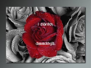 Ich bin froh, dass es dich gibt..