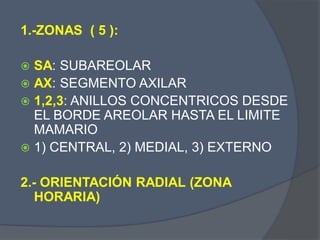 1.-ZONAS ( 5 ):
 SA: SUBAREOLAR
 AX: SEGMENTO AXILAR
 1,2,3: ANILLOS CONCENTRICOS DESDE
EL BORDE AREOLAR HASTA EL LIMITE
MAMARIO
 1) CENTRAL, 2) MEDIAL, 3) EXTERNO
2.- ORIENTACIÓN RADIAL (ZONA
HORARIA)
 