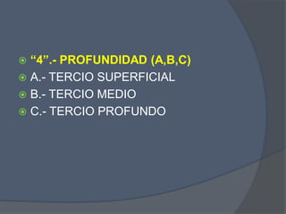  “4”.- PROFUNDIDAD (A,B,C)
 A.- TERCIO SUPERFICIAL
 B.- TERCIO MEDIO
 C.- TERCIO PROFUNDO
 